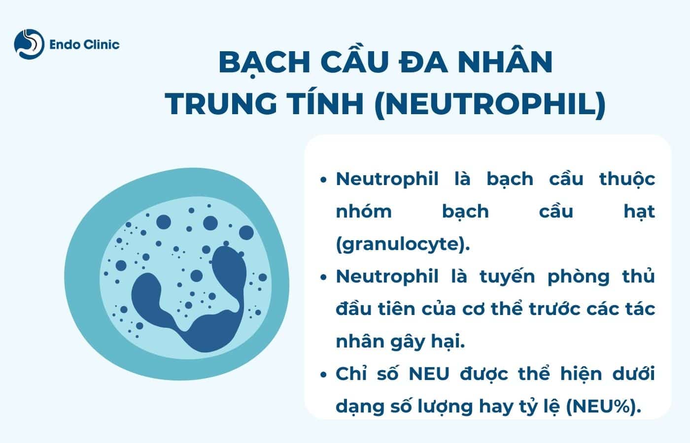 Cách Theo Dõi Chỉ Số NEU và Những Bước Kiểm Tra Định Kỳ